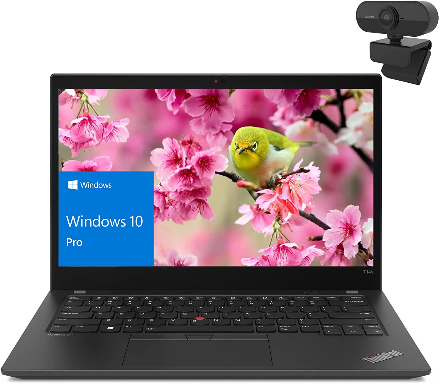 Lenovo ThinkPad T14s Gen 2 - i7-1165G7 · Xe Graphics G7 · 14.0”, Full ...