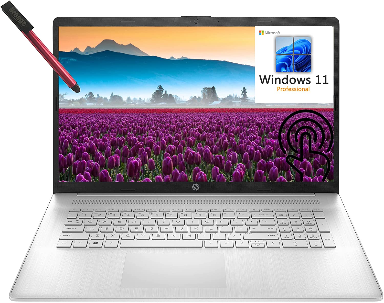 Xe graphics g7 Xe graphics g7