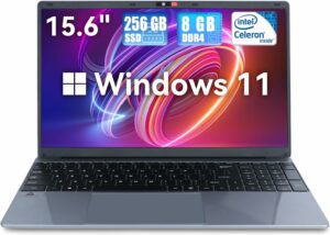 Intel Celeron N5095 - Specs, Benchmark Tests, Comparisons, and Laptop ...