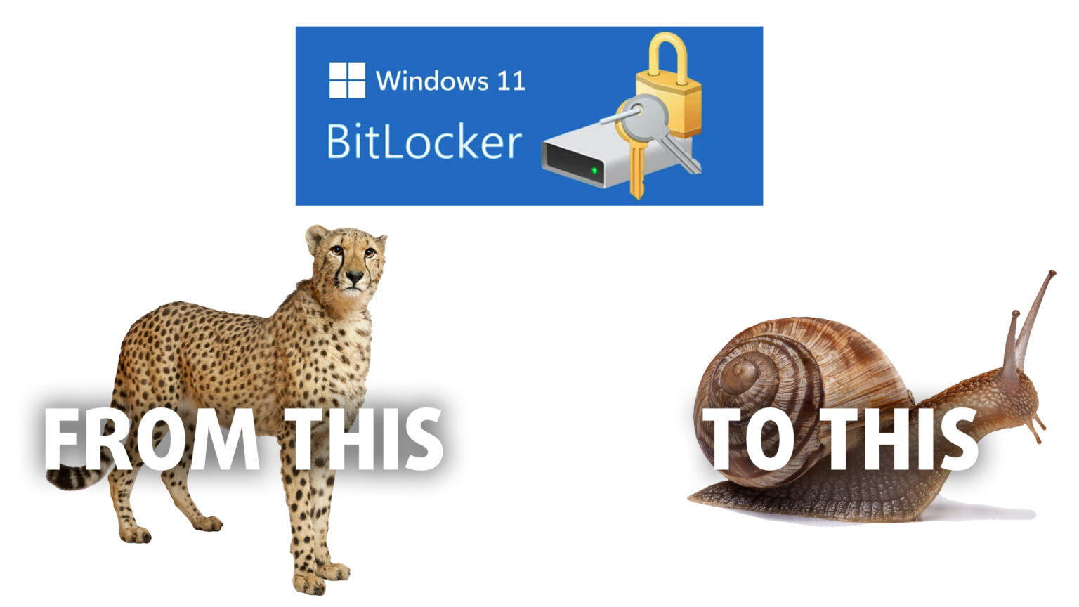 Windows 11 BitLocker Protection Slows Down Your SSD, Here's How To