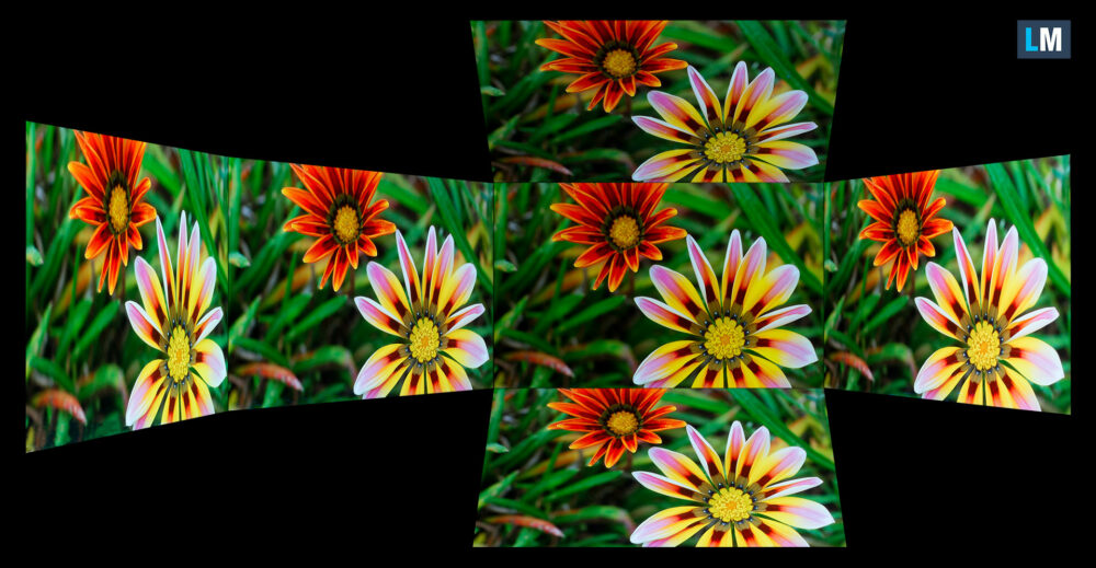 Acer Predator Triton 14 AI (PT14-52T) viewing angles test image
