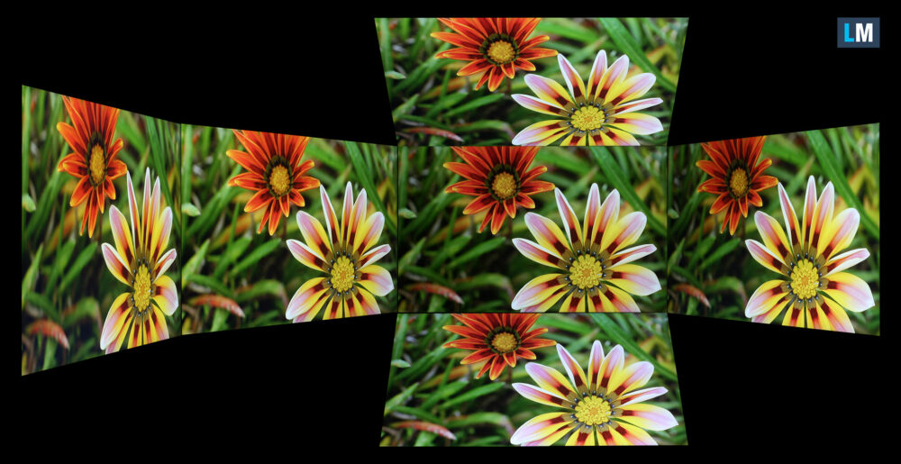 Dell Pro Max 14 (MC14250) viewing angles test image
