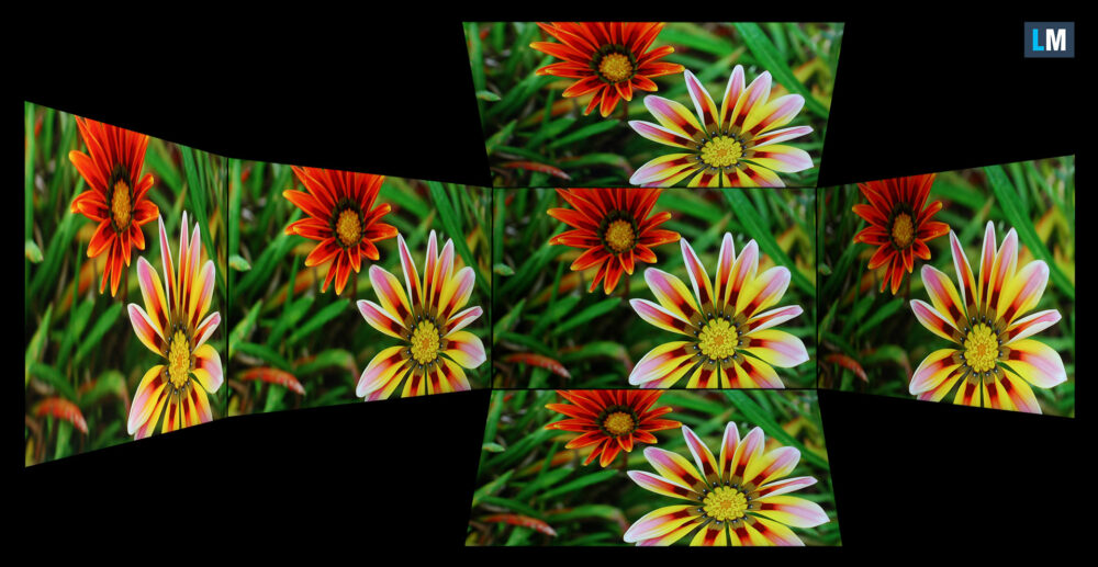 Lenovo LOQ 15 (15IPH11) viewing angles test image